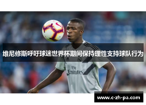 维尼修斯呼吁球迷世界杯期间保持理性支持球队行为