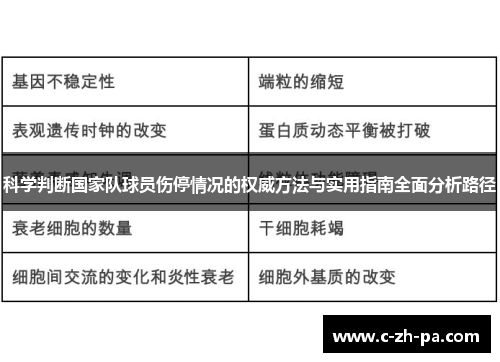 科学判断国家队球员伤停情况的权威方法与实用指南全面分析路径 科学判断国家队球员伤停情况的权威方法与实用指南全面分析路径