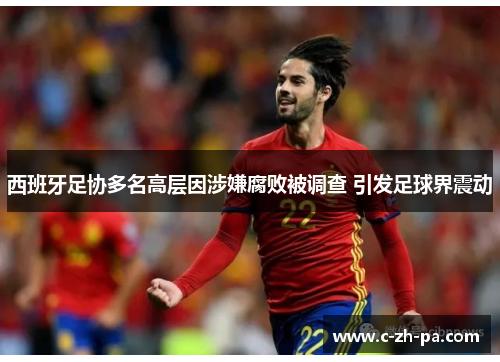 西班牙足协多名高层因涉嫌腐败被调查 引发足球界震动 西班牙足协多名高层因涉嫌腐败被调查 引发足球界震动