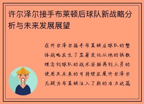 许尔泽尔接手布莱顿后球队新战略分析与未来发展展望